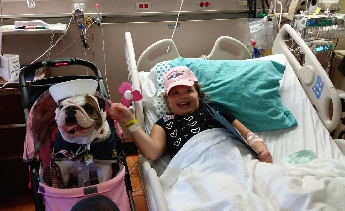 Child in hospital bed with bulldog visitor.